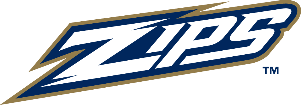 Akron Zips 2002-Pres Wordmark Logo v4 DIY iron on transfer (heat transfer)